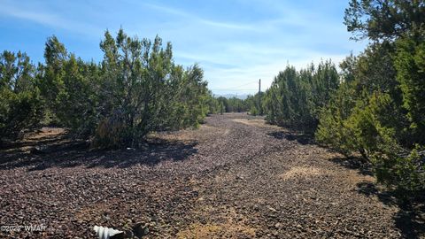 Tiny photo for 41 Acr 3119, Vernon, AZ 85940 (MLS # 258565)