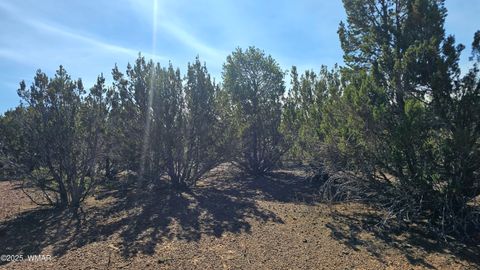 Tiny photo for 41 Acr 3119, Vernon, AZ 85940 (MLS # 258565)