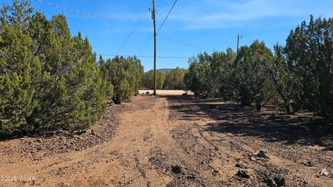 Tiny photo for 41 Acr 3119, Vernon, AZ 85940 (MLS # 258565)