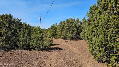 Tiny photo for 41 Acr 3119, Vernon, AZ 85940 (MLS # 258565)