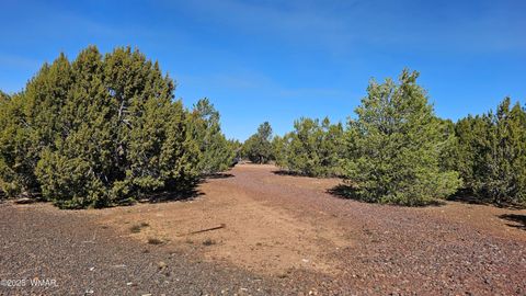 Tiny photo for 41 Acr 3119, Vernon, AZ 85940 (MLS # 258565)