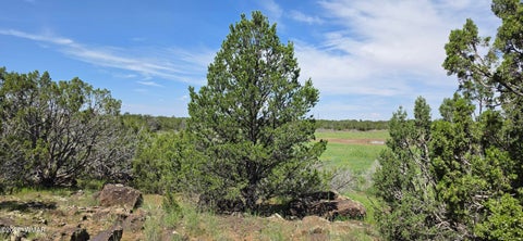 Tiny photo for TBD CR 8026, Concho, AZ 85924 (MLS # 257046)