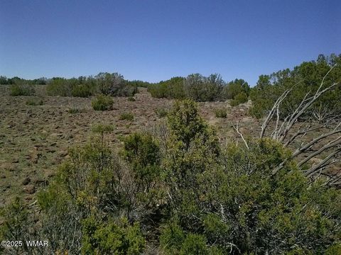 Tiny photo for TBD CR 8026, Concho, AZ 85924 (MLS # 257046)
