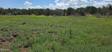 Tiny photo for TBD CR 8026, Concho, AZ 85924 (MLS # 257046)