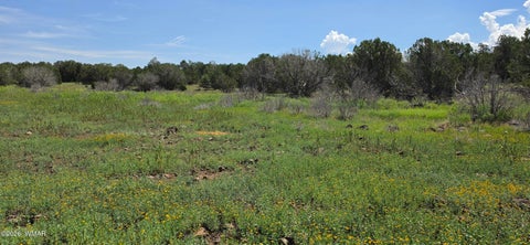 Tiny photo for TBD CR 8026, Concho, AZ 85924 (MLS # 257046)