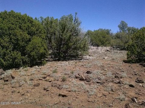Tiny photo for TBD CR 8026, Concho, AZ 85924 (MLS # 257046)