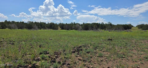 Tiny photo for TBD CR 8026, Concho, AZ 85924 (MLS # 257046)