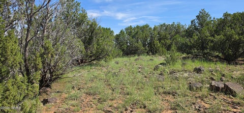 Tiny photo for TBD CR 8026, Concho, AZ 85924 (MLS # 257046)