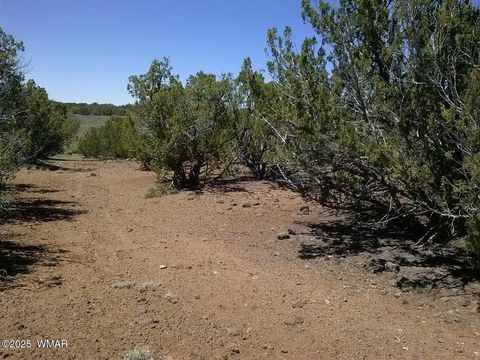 Photo of TBD CR 8026, Concho, AZ 85924 (MLS # 257046)