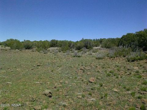 Tiny photo for TBD CR 8026, Concho, AZ 85924 (MLS # 257046)