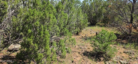 Tiny photo for TBD CR 8026, Concho, AZ 85924 (MLS # 257046)