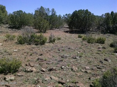 Tiny photo for TBD CR 8026, Concho, AZ 85924 (MLS # 257046)