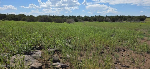 Photo of TBD CR 8026, Concho, AZ 85924 (MLS # 257046)
