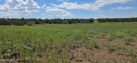 Tiny photo for TBD CR 8026, Concho, AZ 85924 (MLS # 257046)