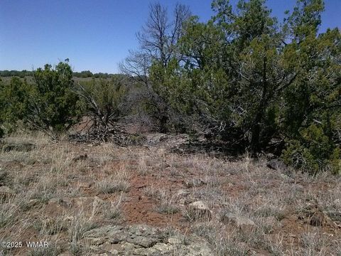 Tiny photo for TBD CR 8026, Concho, AZ 85924 (MLS # 257046)