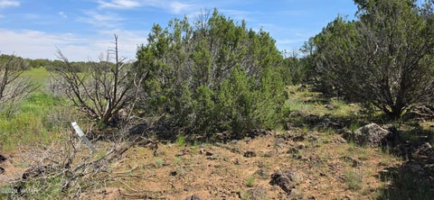 Tiny photo for TBD CR 8026, Concho, AZ 85924 (MLS # 257046)