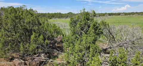 Tiny photo for TBD CR 8026, Concho, AZ 85924 (MLS # 257046)