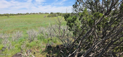 Tiny photo for TBD CR 8026, Concho, AZ 85924 (MLS # 257046)