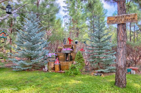 Tiny photo for 2241 S Bristlecone Drive, Show Low, AZ 85901 (MLS # 254279)