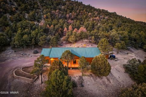 Tiny photo for 15 Co Rd 2026, Nutrioso, AZ 85932 (MLS # 259648)