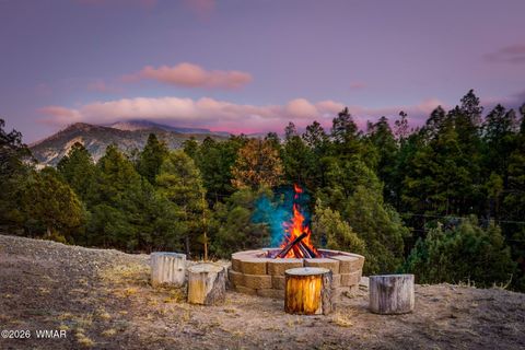 Tiny photo for 15 Co Rd 2026, Nutrioso, AZ 85932 (MLS # 259648)