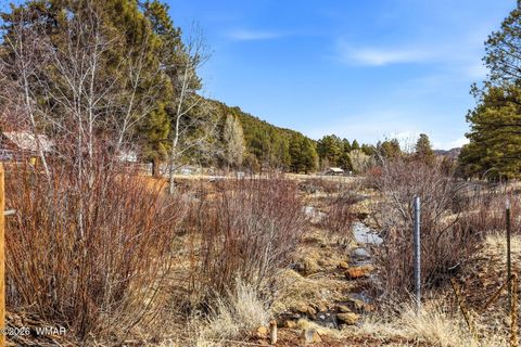 Tiny photo for 15 Co Rd 2026, Nutrioso, AZ 85932 (MLS # 259648)