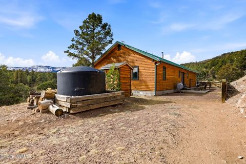 Tiny photo for 15 Co Rd 2026, Nutrioso, AZ 85932 (MLS # 259648)