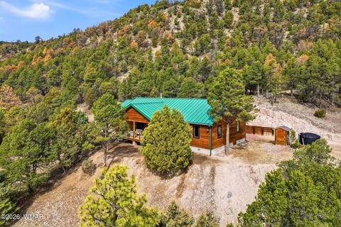 Tiny photo for 15 Co Rd 2026, Nutrioso, AZ 85932 (MLS # 259648)