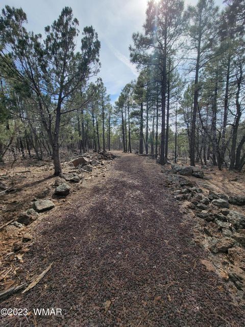 Tiny photo for TBD Zola Road, Lakeside, AZ 85929 (MLS # 247616)
