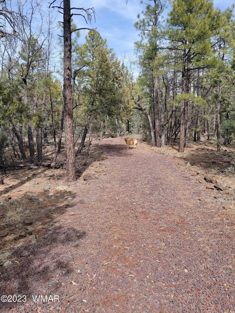 Tiny photo for TBD Zola Road, Lakeside, AZ 85929 (MLS # 247616)