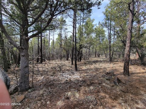 Tiny photo for TBD Zola Road, Lakeside, AZ 85929 (MLS # 247616)
