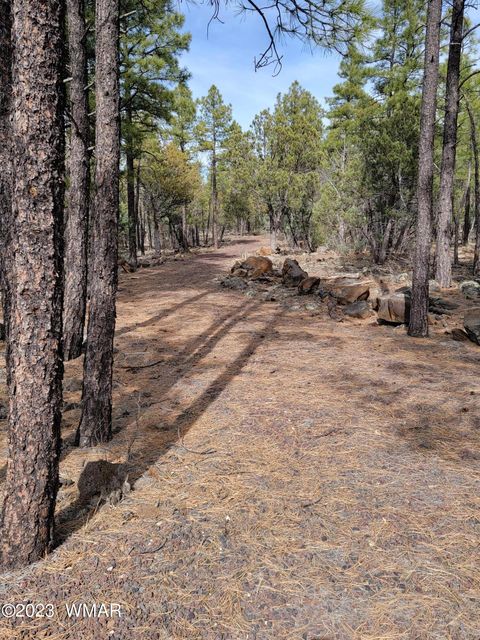 Tiny photo for TBD Zola Road, Lakeside, AZ 85929 (MLS # 247616)