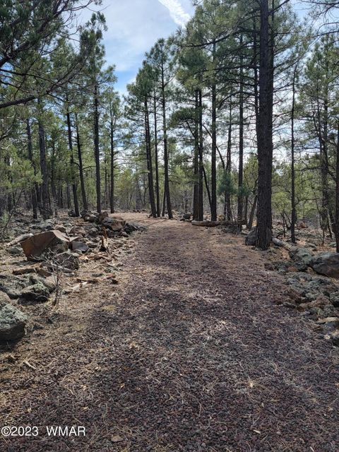 Tiny photo for TBD Zola Road, Lakeside, AZ 85929 (MLS # 247616)