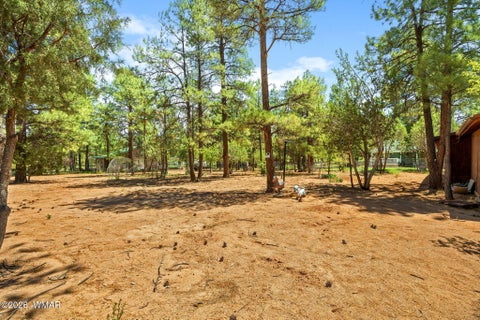 Tiny photo for 2229 Chevelon Road, Overgaard, AZ 85933 (MLS # 262823)