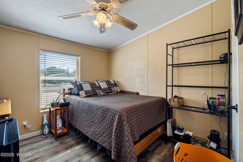 Tiny photo for 115 N Pima Street, Springerville, AZ 85938 (MLS # 258422)