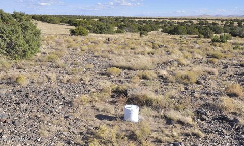 Tiny photo for 8Z Concho Creek Dr, Concho, AZ 85924 (MLS # 259069)