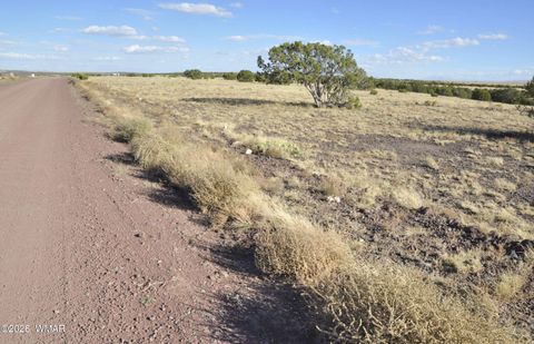 Tiny photo for 8Z Concho Creek Dr, Concho, AZ 85924 (MLS # 259069)