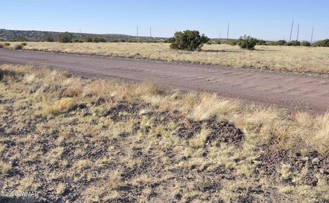 Tiny photo for 8Z Concho Creek Dr, Concho, AZ 85924 (MLS # 259069)