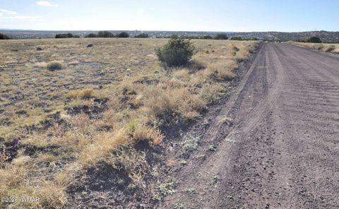 Tiny photo for 8Z Concho Creek Dr, Concho, AZ 85924 (MLS # 259069)