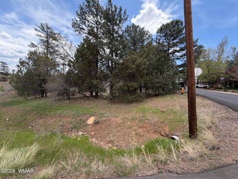 Photo of 261 S 1st Drive, Show Low, AZ 85901 (MLS # 260744)