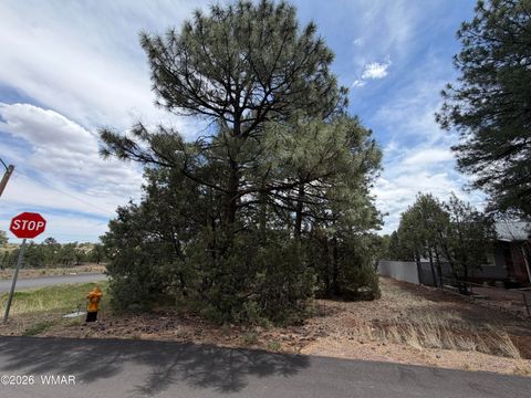 Tiny photo for 261 S 1st Drive, Show Low, AZ 85901 (MLS # 260744)