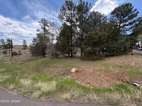 Tiny photo for 261 S 1st Drive, Show Low, AZ 85901 (MLS # 260744)