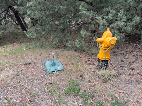 Tiny photo for 261 S 1st Drive, Show Low, AZ 85901 (MLS # 260744)