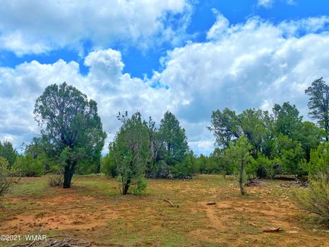 Photo of TBD Bear Heights, Heber, AZ 85928 (MLS # 259747)