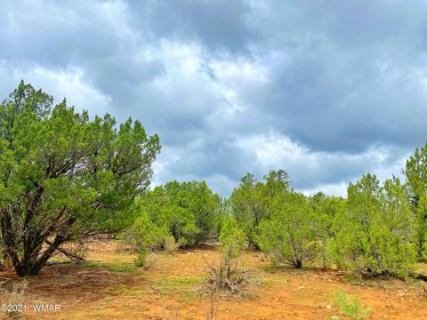 Tiny photo for TBD Bear Heights, Heber, AZ 85928 (MLS # 259747)