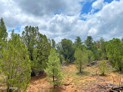 Tiny photo for TBD Bear Heights, Heber, AZ 85928 (MLS # 259747)