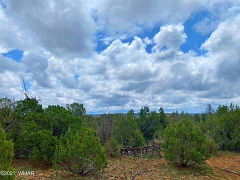 Tiny photo for TBD Bear Heights, Heber, AZ 85928 (MLS # 259747)