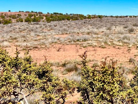 Photo of 5201 Jay Rd 24.42 Acres Rd, Snowflake, AZ 85937 (MLS # 260218)