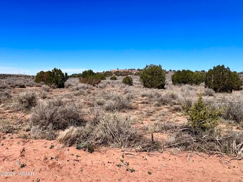 Tiny photo for 5201 Jay Rd 24.42 Acres Rd, Snowflake, AZ 85937 (MLS # 260218)