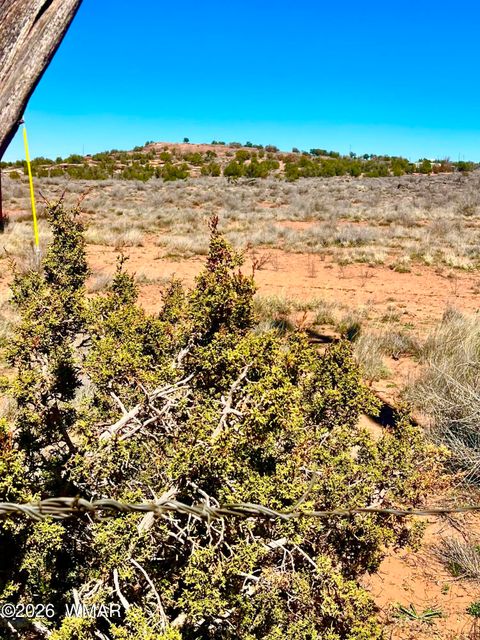 Tiny photo for 5201 Jay Rd 24.42 Acres Rd, Snowflake, AZ 85937 (MLS # 260218)